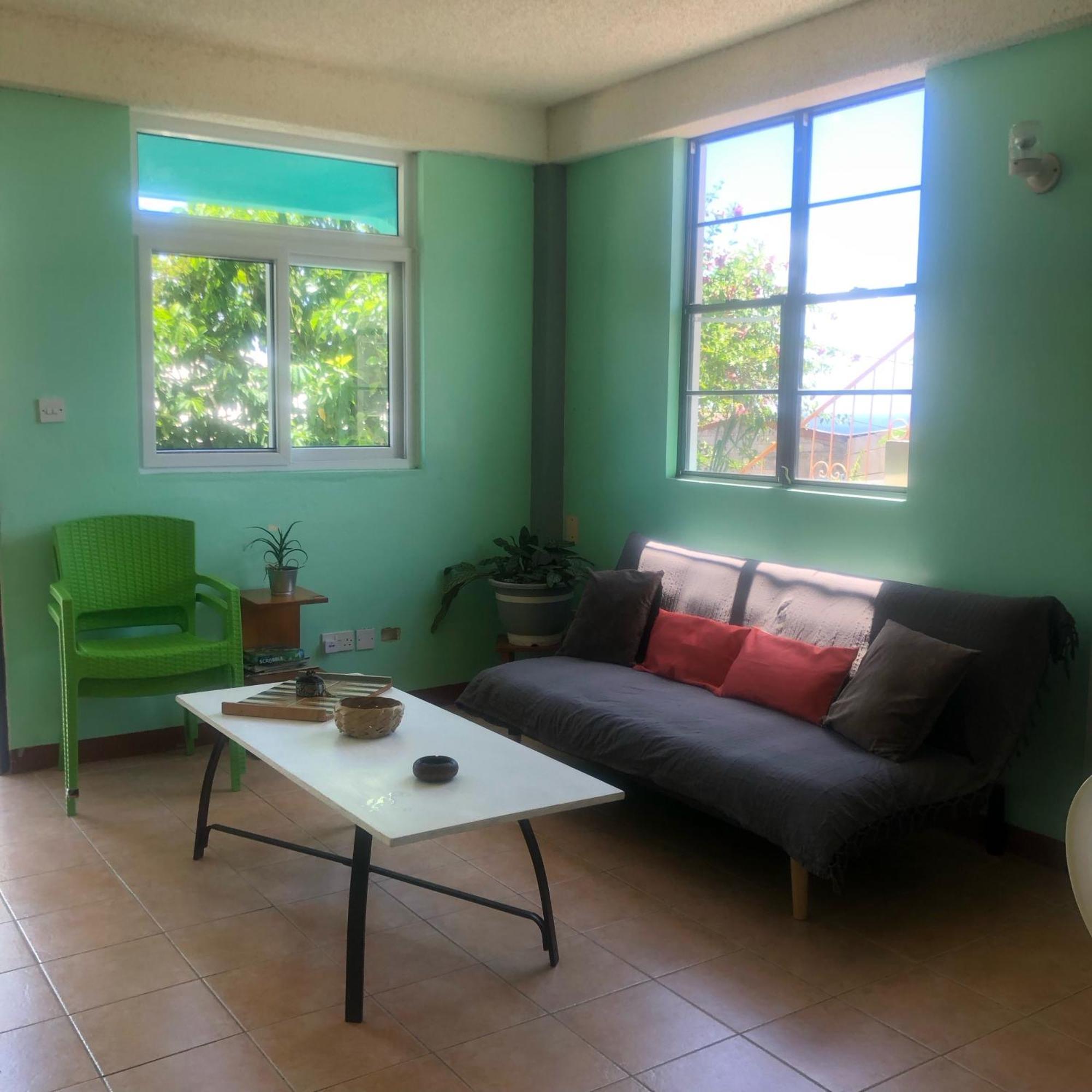 Joy'S Apartment Roseau Exterior photo